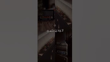 سورة الضحى 💙#قرآن #قرآن #ماهر_المعيقلي #حالات_دينية #حالات_واتس #حالات_واتساب #حالات