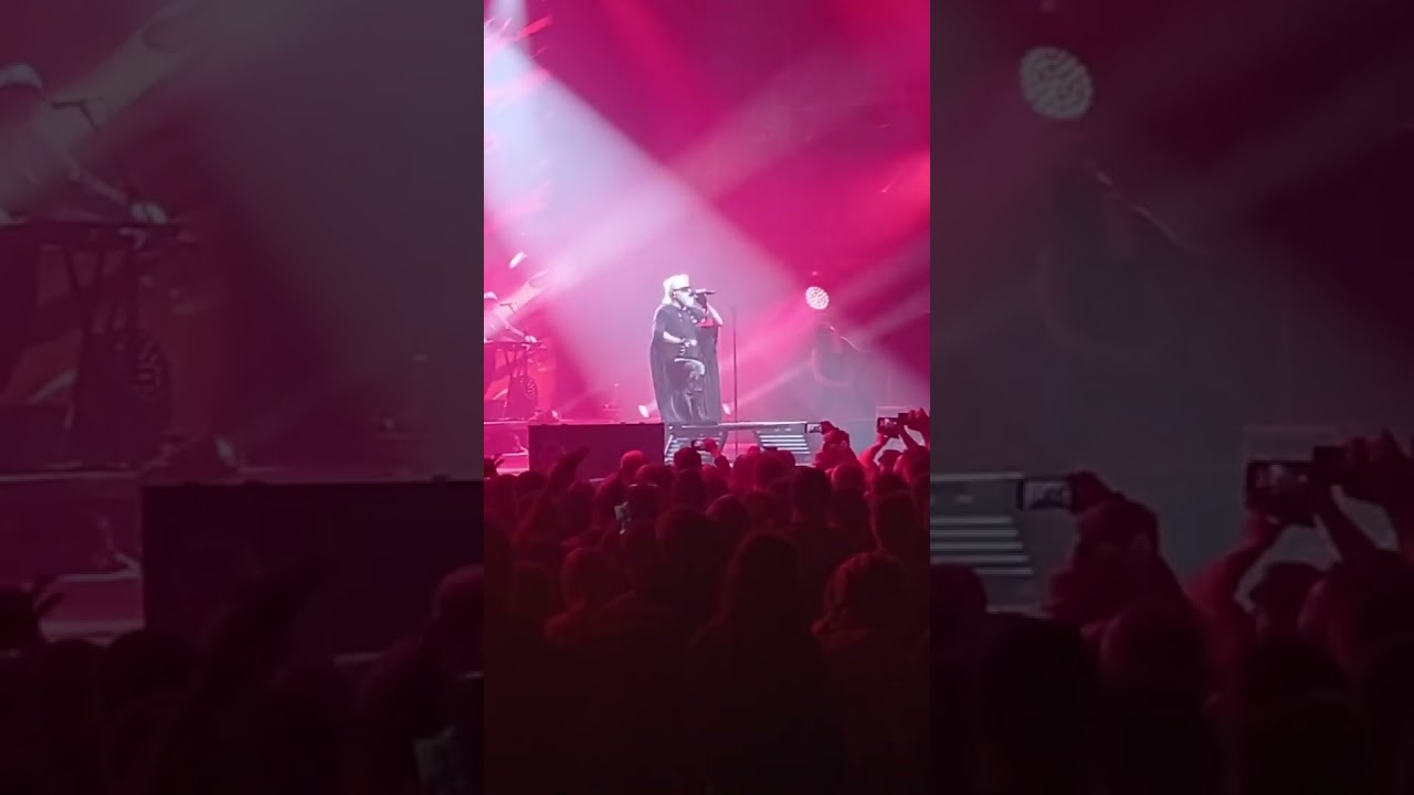 Watch Аккорд Алиса Гойда Санкт-Петербург ДС Юбилейный 16.11.2024 #concert #live #rock #rocknroll #алиса on YouTube Watch Аккорд Алиса Гойда Санкт-Петербург ДС Юбилейный 16.11.2024 #concert #live #rock #rocknroll #алиса on YouTube