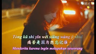 Si Nian Shui 思念誰 [ Merindukan Seseorang / Siapa ]