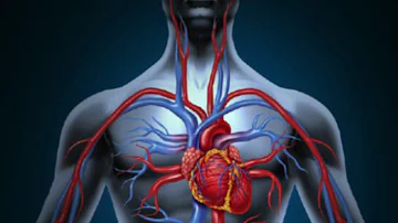 Como a trigonometria e utilizada na medicina?