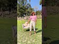 شنط الزباله بتتملي جبتلكم صندوق عائلي كريم كرستيانو شنط الزباله بتتملي جبتلكم صندوق عائلي كريم كرستيانو