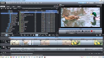 Trimming Objects & Changing Audio Speed in Magix Movie Edit Pro