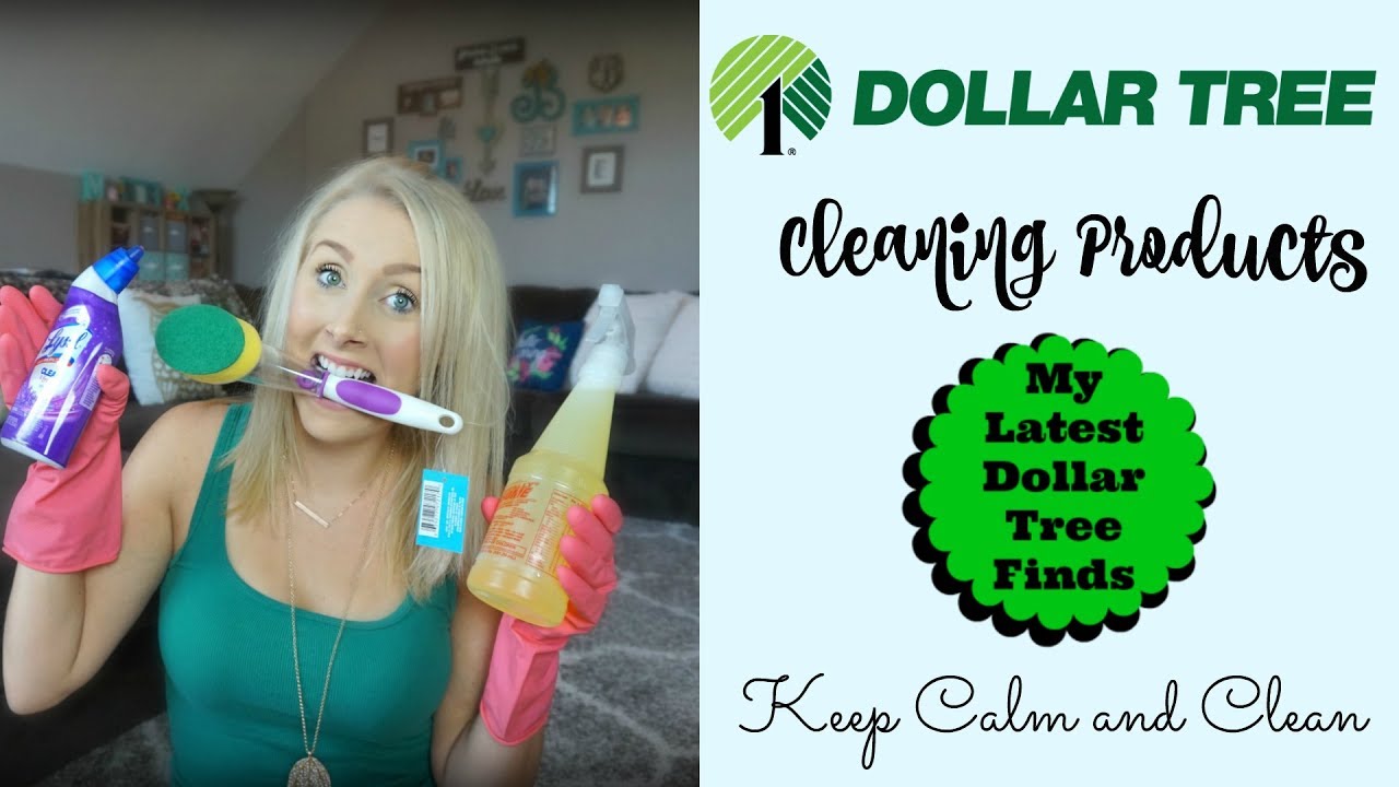 Dollar Tree Cleaning Products Haul Dollar Tree Finds Keep Calm and