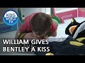 William gives Bentley a kiss♥ "I love my brother" XD [The Return of Superman/2018.05.27]