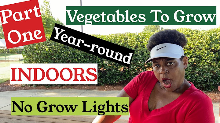 PART 1 | 10 Vegetables to GROW INDOORS YEAR ROUND | NO Grow Lights | Container Gardening