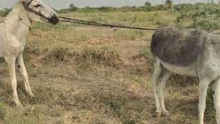 Wow Amazing Beautiful