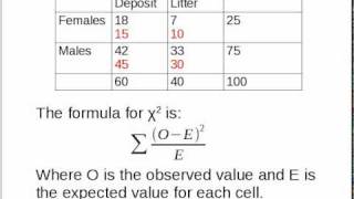 Simple Explanation of Chi-Squared