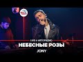 Jony - Небесные Розы (LIVE @ Авторадио, презентация альбома "Небесные розы")