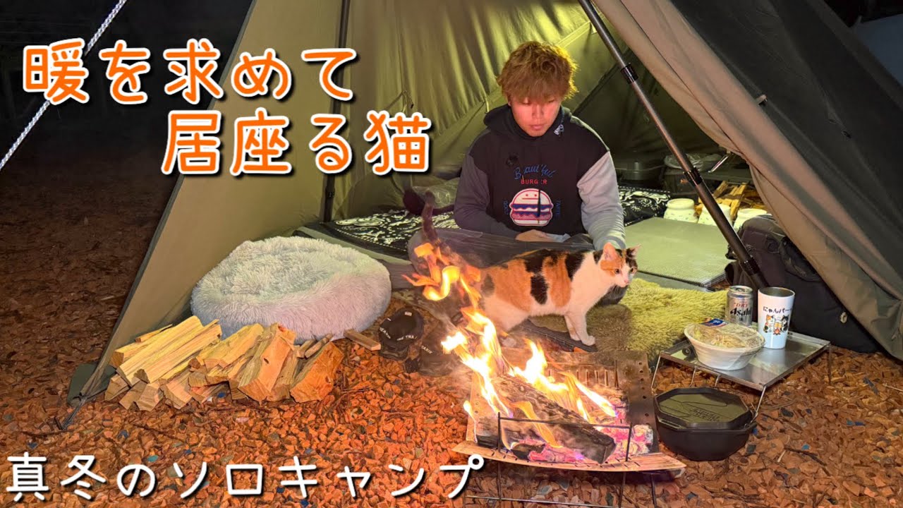 極寒ソロキャンプ中に暗闇から現れた1匹の猫。焚き火と薪ストーブで暖を取り一緒に寝ました。