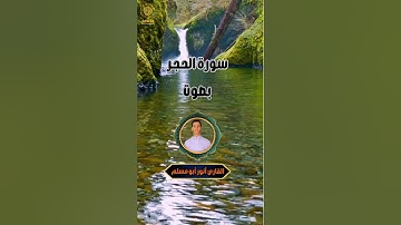 ما تيسر من سورة الحجر/ القارئ أنور أبو مسلم.