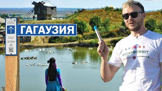 видео: ГАГАУЗИЯ, юг Молдовы. Конные скачки, вино, болгары, гагаузы и Хедерлез. Туристический маршрут C2 картинка: ГАГАУЗИЯ, юг Молдовы. Конные скачки, вино, болгары, гагаузы и Хедерлез. Туристический маршрут C2