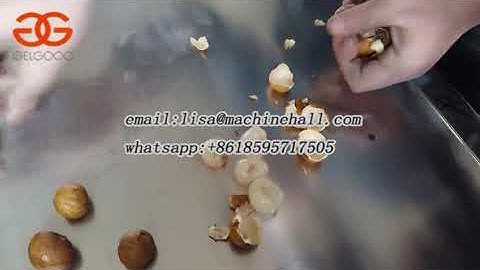 Commercial Longan Core Removing Machine