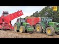 Kartoffelernte  - John Deere, GRIMME SE 150-60 - Kartoffeln roden farmer potato harvester Germany