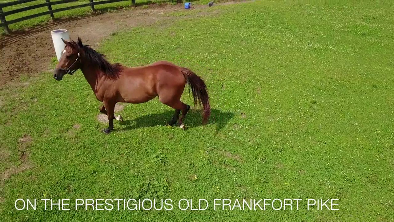 3700 Old Frankfort Pike,Versailles, KY  40383