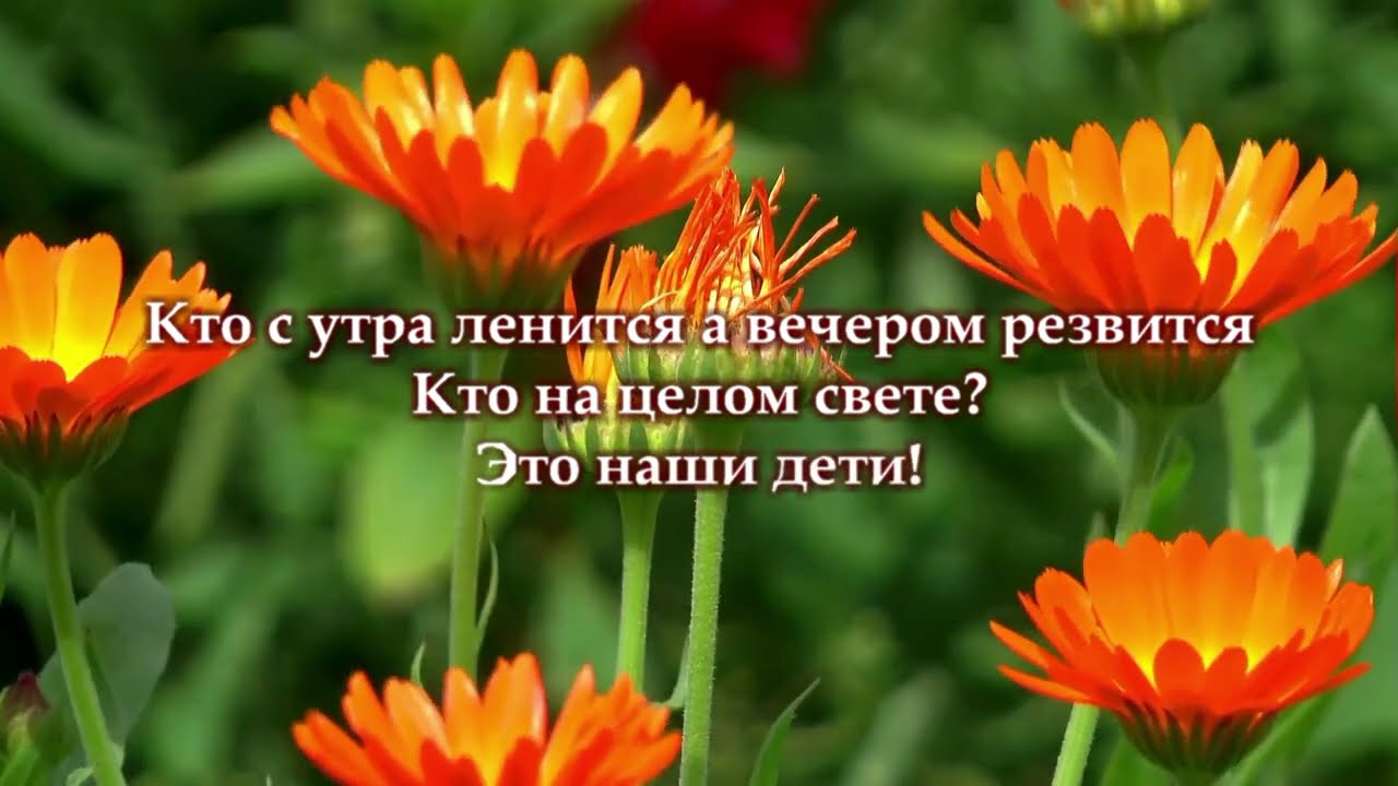 Малиновая лада караоке минус
