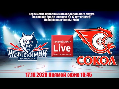 НЕФТЕХИМИК (Нижнекамск)-СОКОЛ (Новочебоксарск) LIVE 10:45