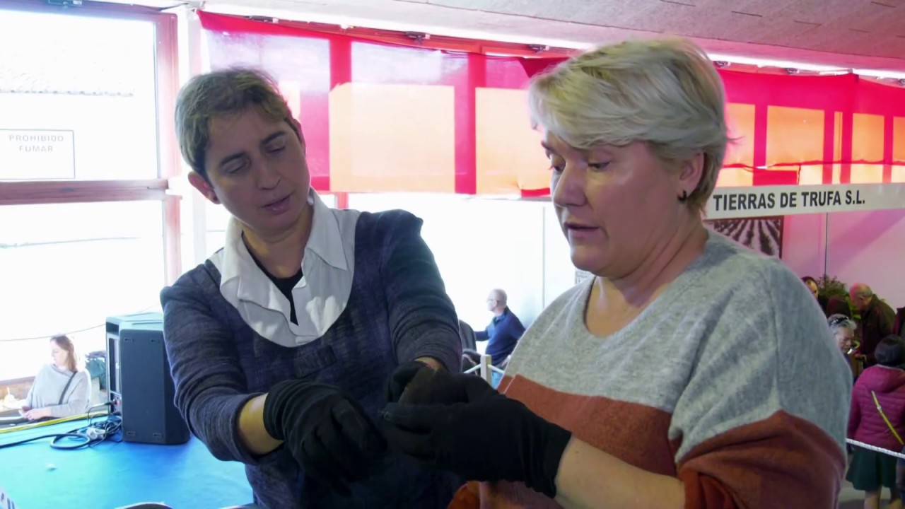 Feria de la trufa en Sarrión - Territorio Vivo ATV 165