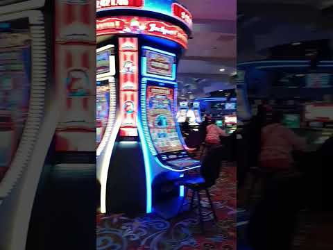 Inside of Arizona Charlie
