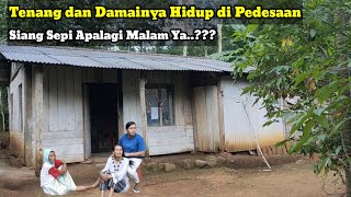 DAMAINYA KAMPUNG SEPI SUKU JAWA TERPENCIL DI PINGGIRAN HUTAN