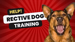 Help! My Dog is Reactive | Dog Works Radio