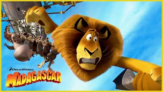 Dubois caza al rey de las bestias | DreamWorks Madagascar en Español Latino