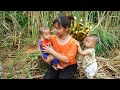 Single mom  take your two children for a health checkup harvest sugarcane to sell family life