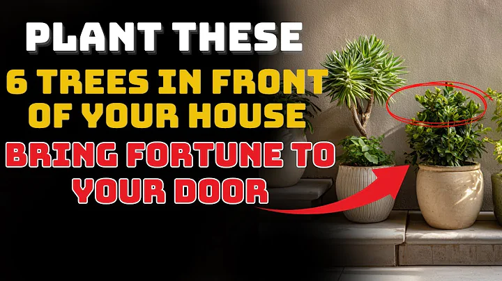 Plant These 6 Trees in Front of Your House – A Feng Shui Secret to Attract Wealth Overnight