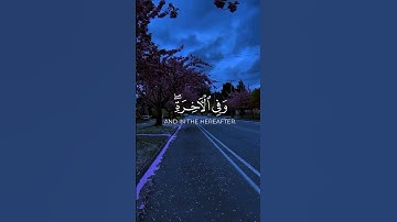 سورة إبراهيم | #quran #quran_kareem #qurantilawat #explore #القرآن_الكريم #القرآن #اكسبلور