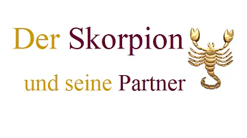 Sind Skorpion Männer stur?