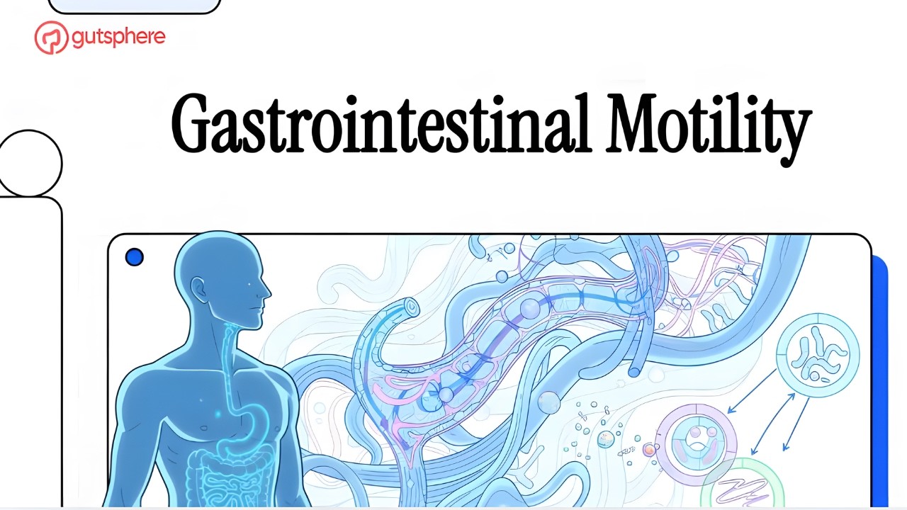Gut Motility Explained: Why Your Digestion Feels Slow, Fast, or Off