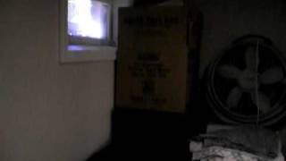 SpareBdrmBasement.AVI