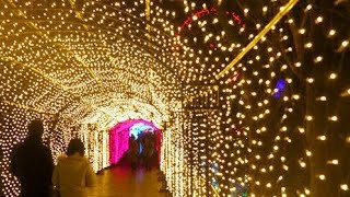 Pixel Led Lights Building Decoration Program Available Mb Light Pushkar Ajmal