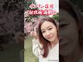 台北で桜先取り🌸2月で満開！#台灣 #桜 #國父紀念館
