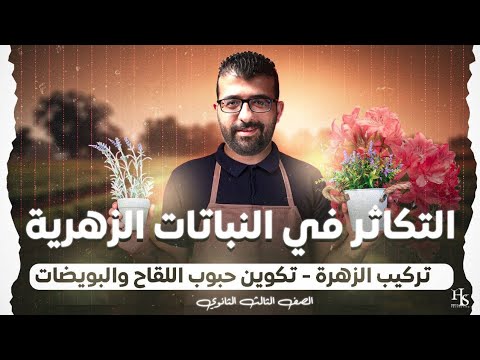 حل و فرم التكاثر في النباتات الزهرية الجزء ١ حتي تكوين بويضات للصف الثالث الثانوي