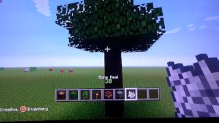How to make a tree trap