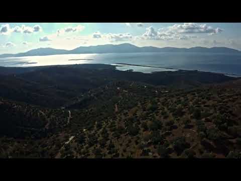 A flight over our olive groves - Olivian Groves