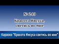 № 249 Красота Иисуса светись во мне | Караоке с голосом | Христианские песни | Гимны надежды