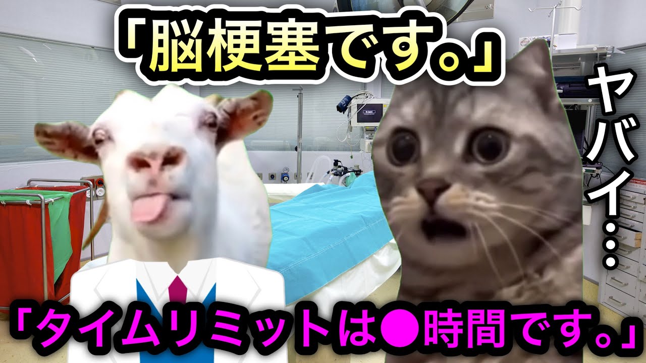 脳梗塞で死にかけた話 タイムリミットは●時間 #猫ミーム