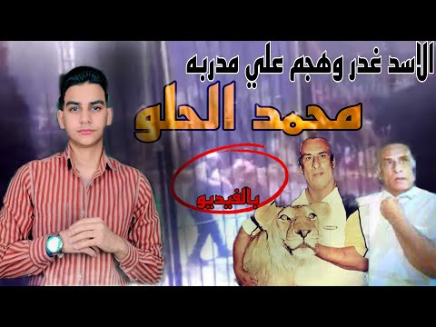 ايه الحكاية هجوم الاسد علي مدربه محمد الحلو وقت العرض وبعد م وت المدرب فعل الأسد ما لا تتوقعه