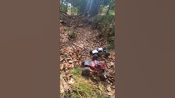 2 Axial Capra 1.9 4ws Brushless vs Stock