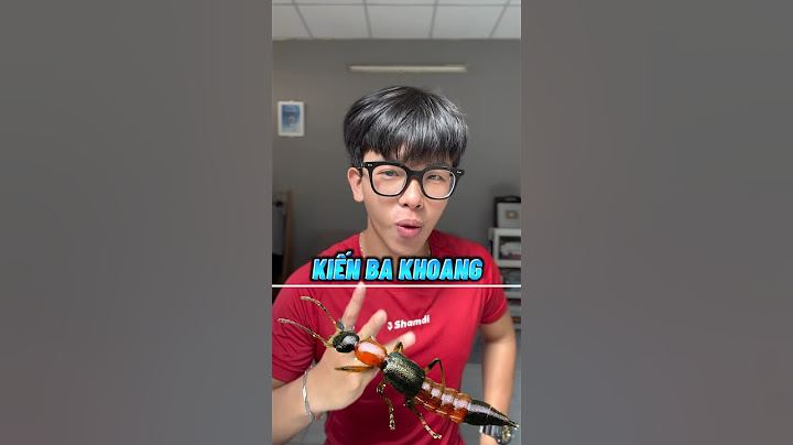 Một câu chuyện thú vị về KIẾN BA KHOANG 🐜 | #enfitness #songkhoe247 #dcgr