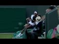 Serena Williams falls into crowd at Wimbledon