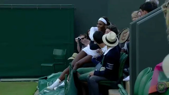 Serena Williams falls into crowd at Wimbledon - DayDayNews