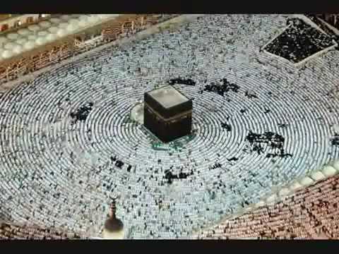 ابا الزهراء مقطع مؤثر لشيخ صالح المغامسي