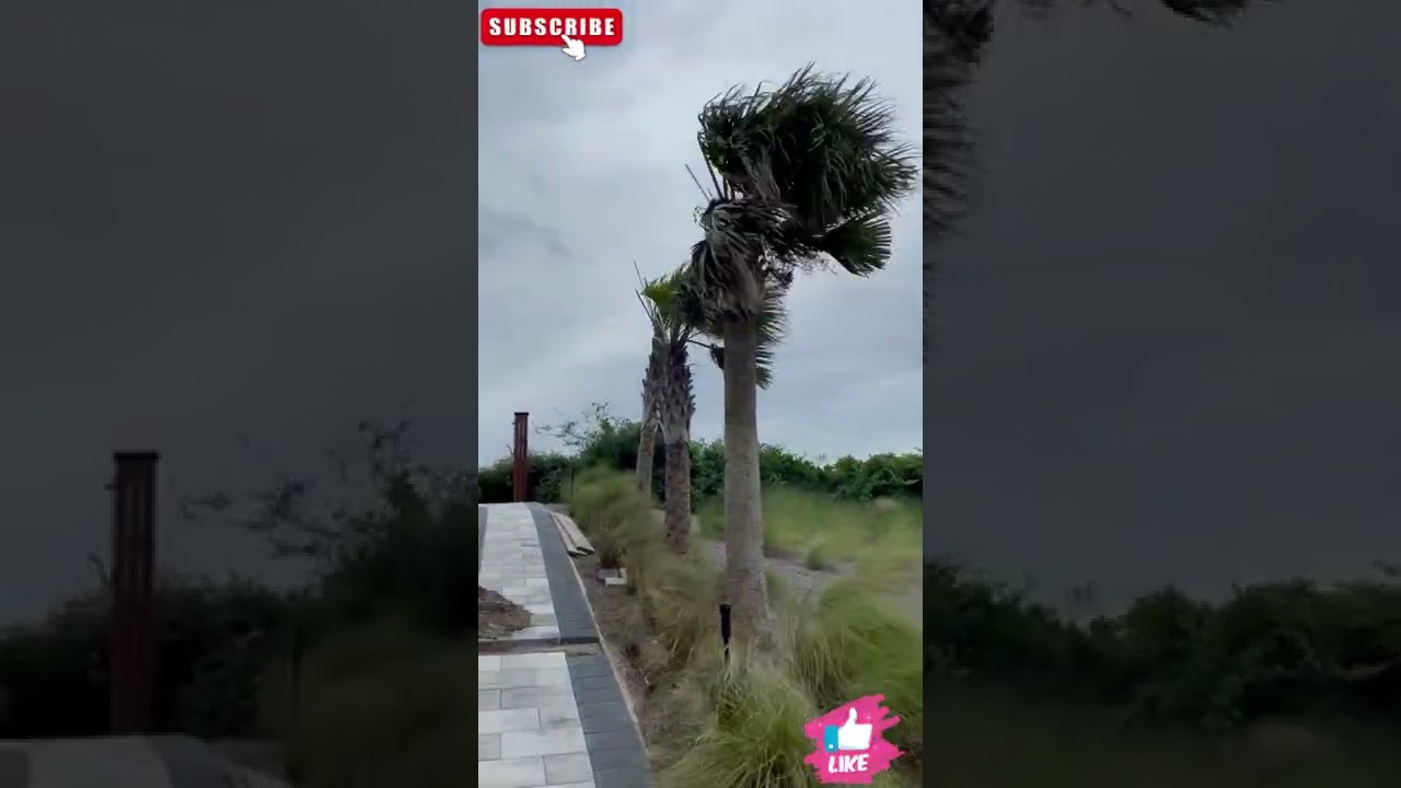 hurricane Ian from amelia island [fan on high] YouTube
