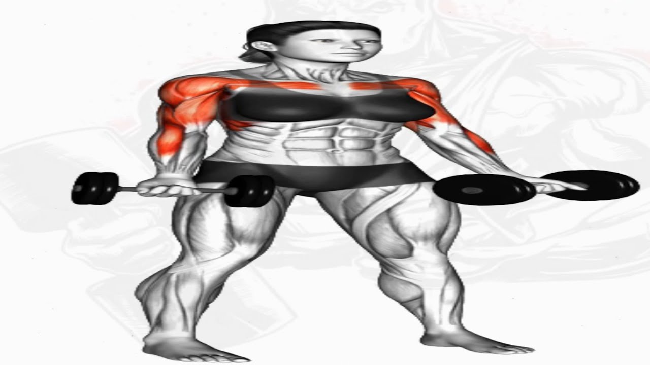 FULL SHOULDERS WORKOUT - YouTube
