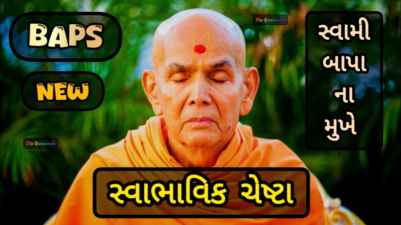 સ્વાભાવિક ચેષ્ટા || BAPS || Swabhavik Chesta || @pramukhkirtan - YouTube