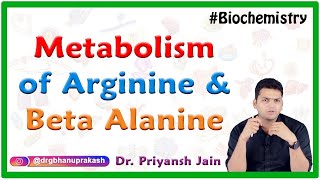 Metabolism of Arginine and Beta Alanine : Medical biochemistry