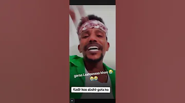 Kadir Martu Tiktoklive 