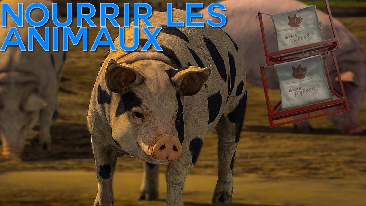 TUTORIEL: S'occuper des Animaux sur Farming Simulator 17 - YouTube